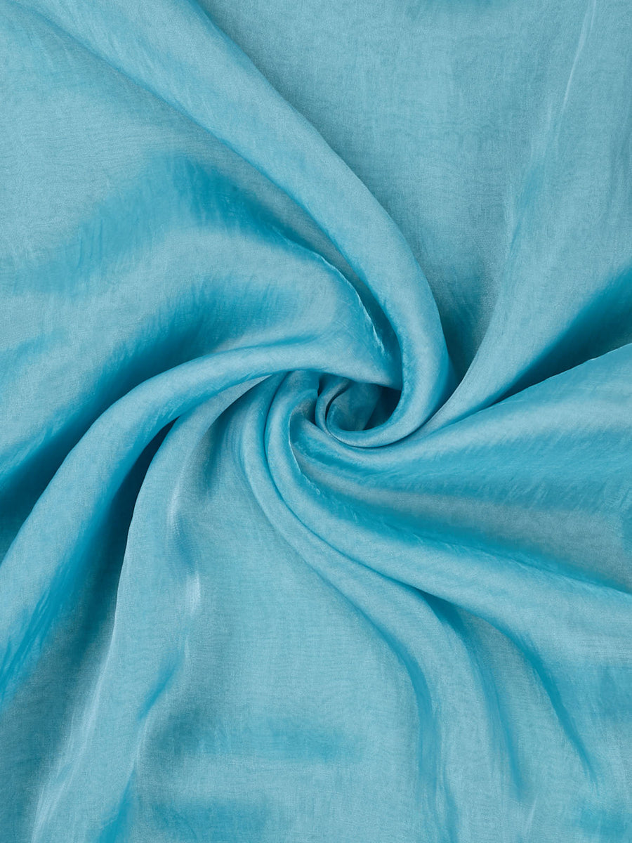 Blue Bloom Appliqué Organza Saree